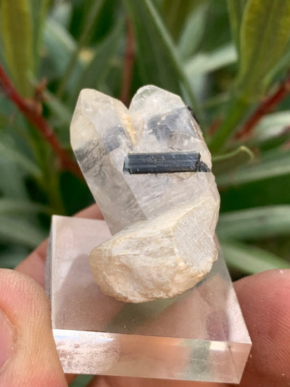 Tourmaline noire, spécimen naturel de 38 x 26 x 23 mm - 19,5 grammes. Une très belle tourmaline sur Quartz et Kunzite verte !