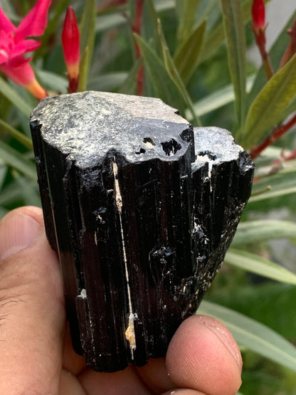 Tourmaline noire, spécimen naturel de 65 x 52 x 50 mm - 246,2 grammes. Un très beau bloc tourmaline !
