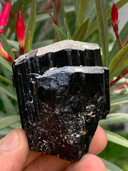 Tourmaline noire, spécimen naturel de 65 x 52 x 50 mm - 246,2 grammes. Un très beau bloc tourmaline !