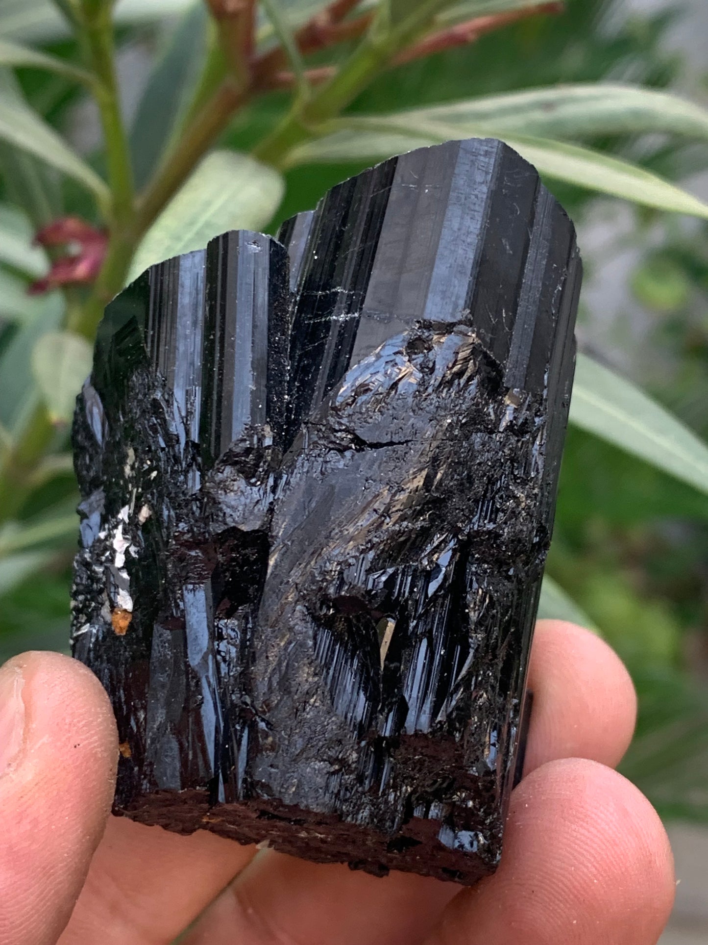 Tourmaline noire, spécimen naturel de 65 x 52 x 50 mm - 246,2 grammes. Un très beau bloc tourmaline !