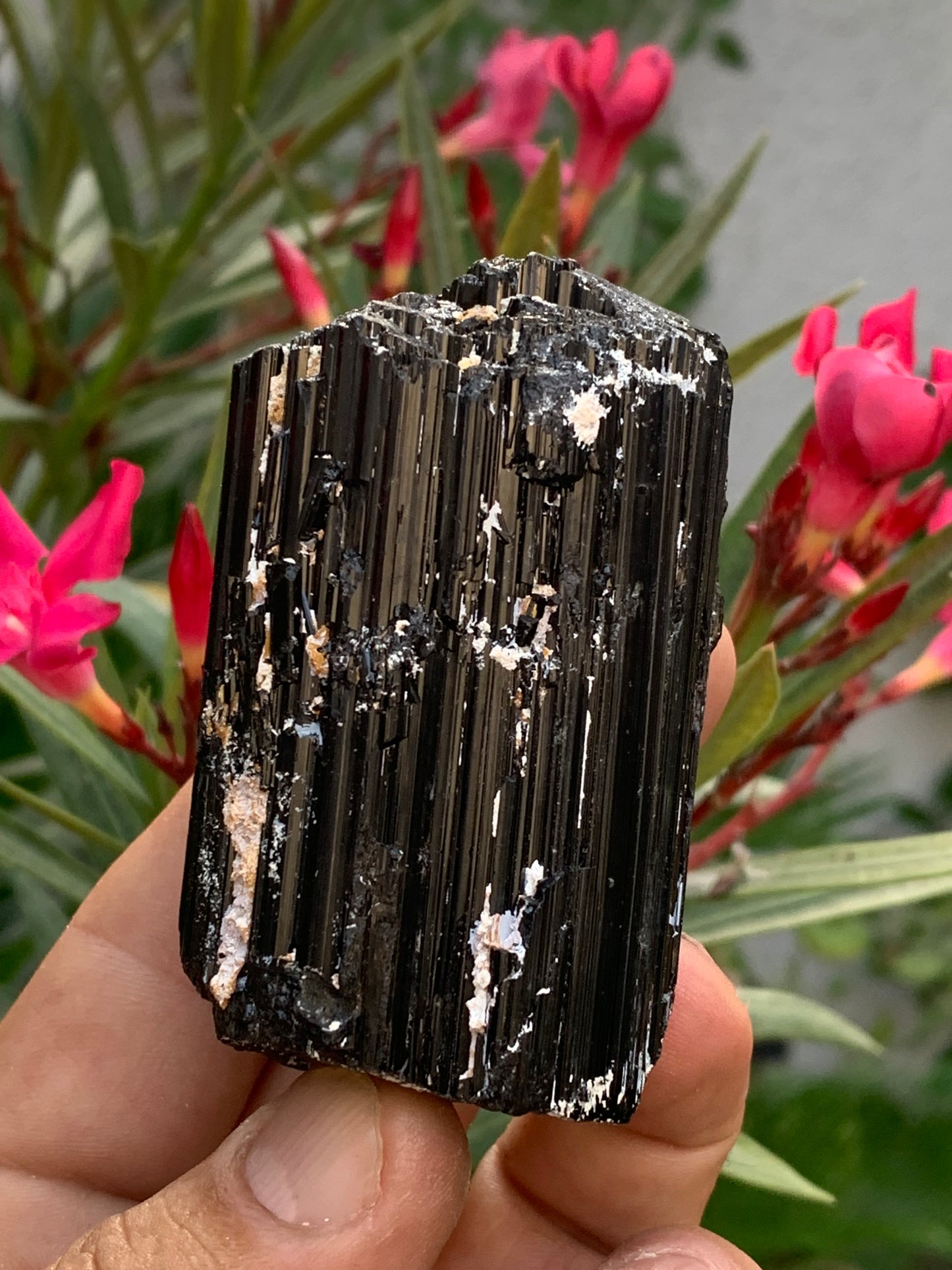 Tourmaline noire, spécimen naturel de 65 x 49 x 45 mm - 248,2 grammes. Un très beau bloc tourmaline !