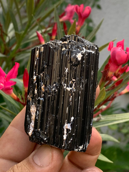 Tourmaline noire, spécimen naturel de 65 x 49 x 45 mm - 248,2 grammes. Un très beau bloc tourmaline !