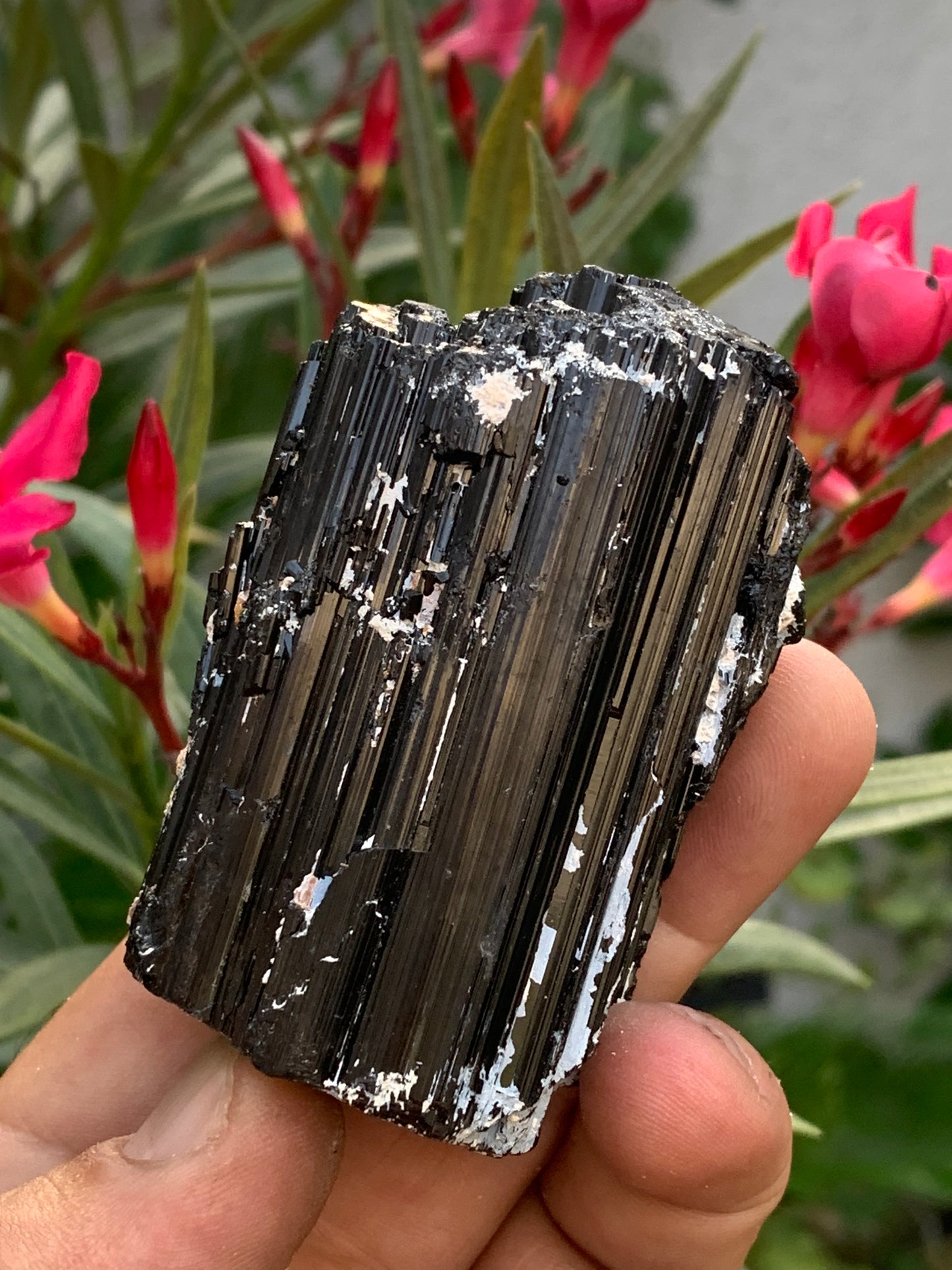 Tourmaline noire, spécimen naturel de 65 x 49 x 45 mm - 248,2 grammes. Un très beau bloc tourmaline !