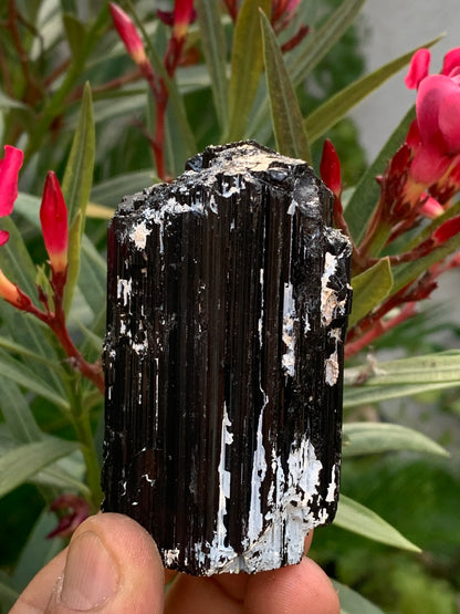 Tourmaline noire, spécimen naturel de 65 x 49 x 45 mm - 248,2 grammes. Un très beau bloc tourmaline !