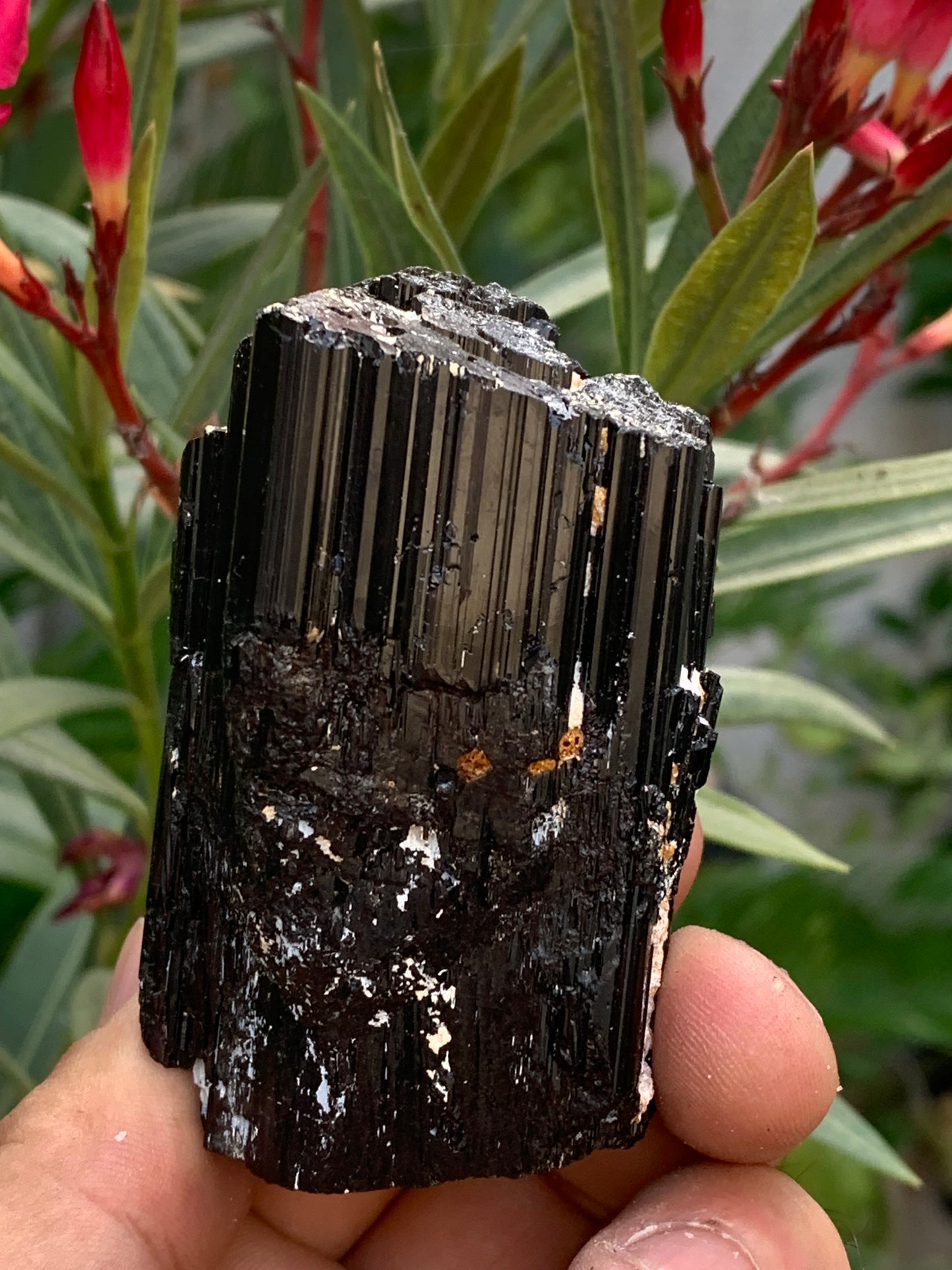 Tourmaline noire, spécimen naturel de 65 x 49 x 45 mm - 248,2 grammes. Un très beau bloc tourmaline !