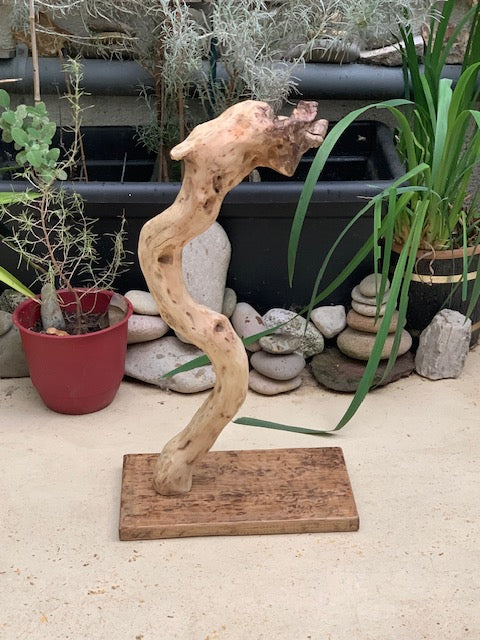 Support en bois flotté en forme de dragon - 74 x 41 x 24 cm pour gong, tambour ou autre - Création Zen Curiosity