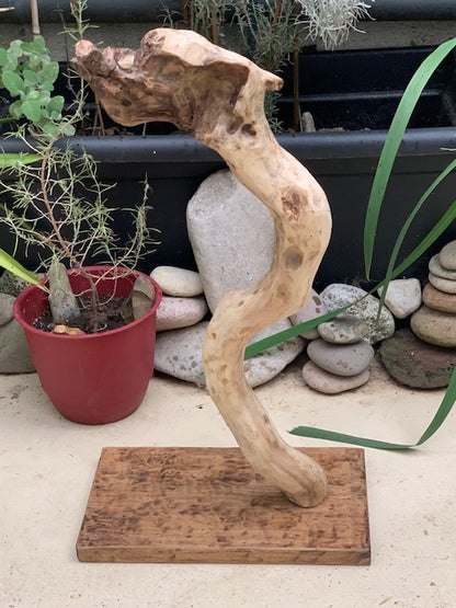 Support en bois flotté en forme de dragon - 74 x 41 x 24 cm pour gong, tambour ou autre - Création Zen Curiosity