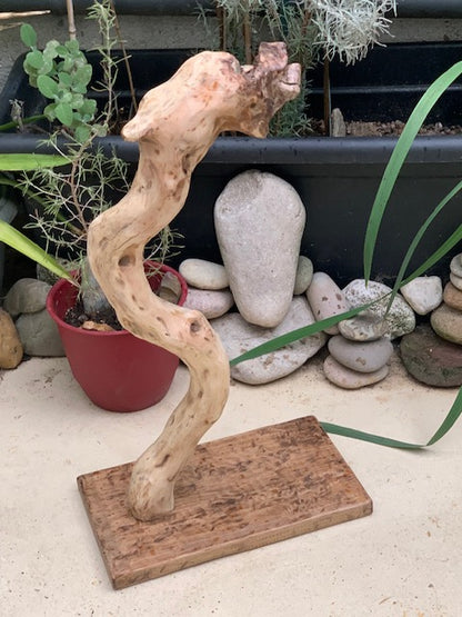 Support en bois flotté en forme de dragon - 74 x 41 x 24 cm pour gong, tambour ou autre - Création Zen Curiosity