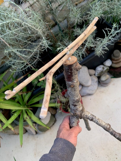 Support en bois recyclé, branches pliables, pour carillons Koshi/Zaphir – 49 x 25 x 25 cm - Création Zen Curiosity