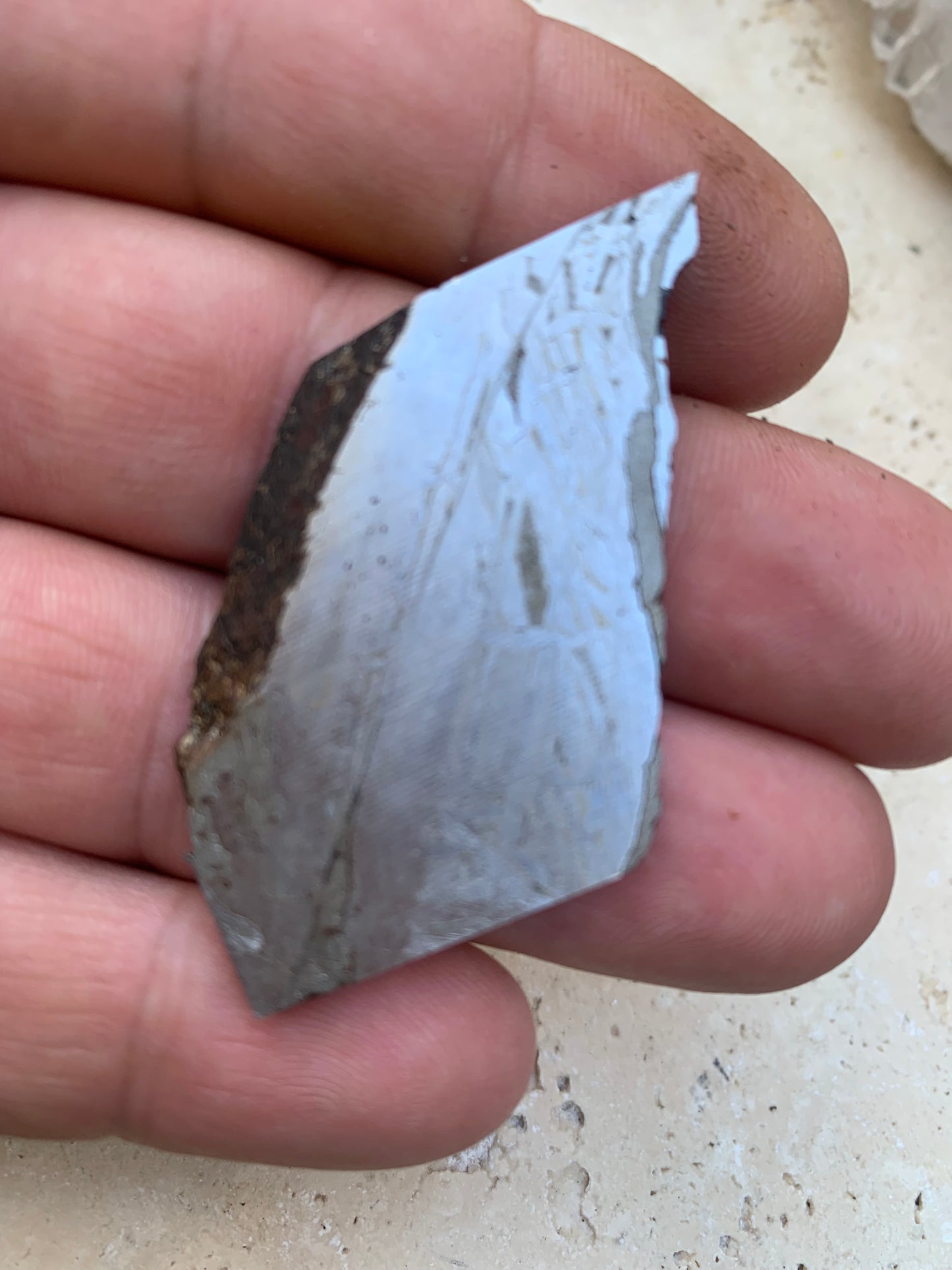 Météorite 'Muonionalusta', spéciment de 60x31x3mm - 20 grammes. De type IVA, qui s'est écrasée dans le nord de la Scandinavie !