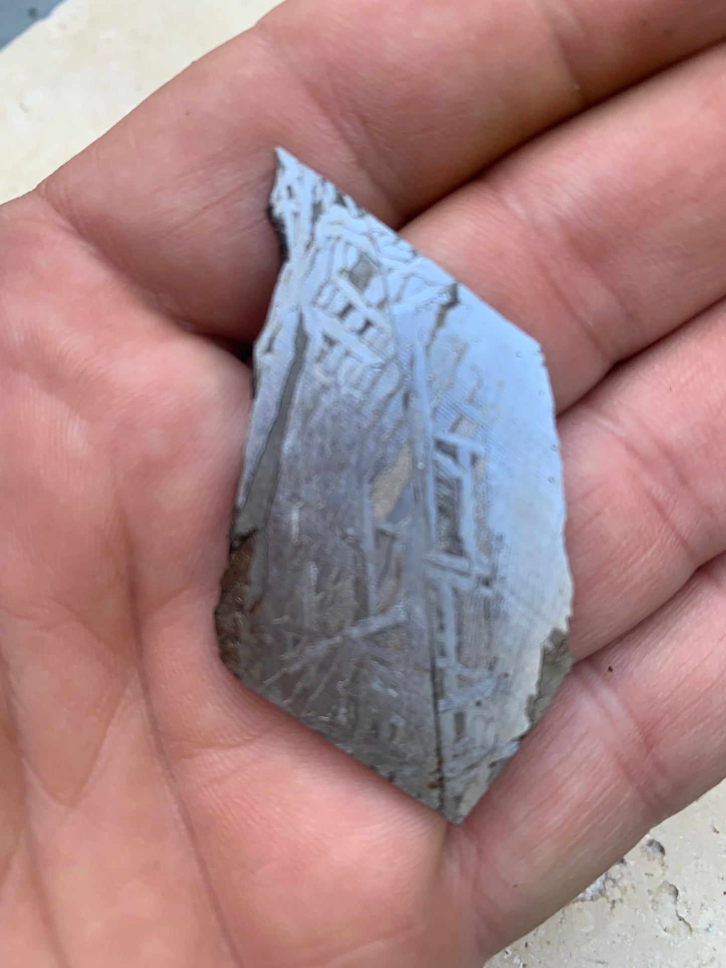 Météorite 'Muonionalusta', spéciment de 60x31x3mm - 20 grammes. De type IVA, qui s'est écrasée dans le nord de la Scandinavie !
