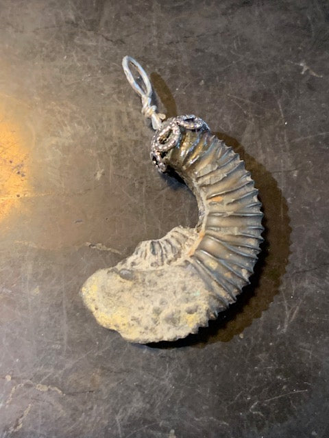 Collection 'Géologique', pendentifs à l'unité monté par Zen Curiosity - Ammonite pyrite, Pointe de Calcite, Ardoise