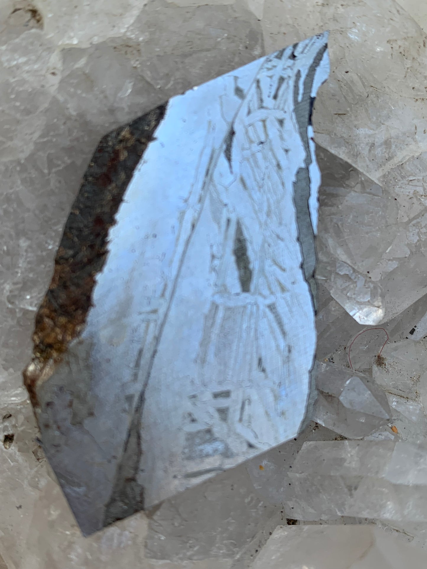 Météorite 'Muonionalusta', spéciment de 60x31x3mm - 20 grammes. De type IVA, qui s'est écrasée dans le nord de la Scandinavie !