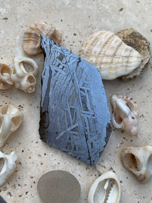 Météorite 'Muonionalusta', spéciment de 60x31x3mm - 20 grammes. De type IVA, qui s'est écrasée dans le nord de la Scandinavie !