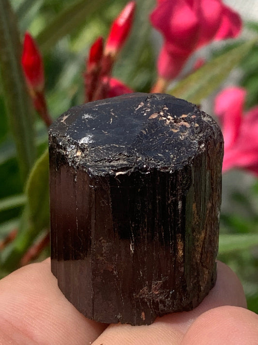 Tourmaline noire, spécimen naturel de 32 x 30 x 27 mm - 50,6 grammes. Un très beau bloc de tourmaline !
