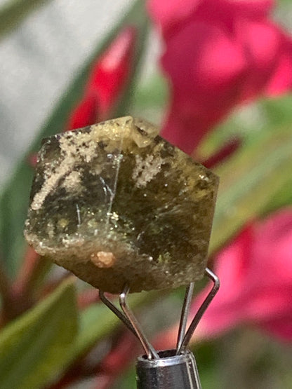Tourmaline verte/ Verdélite, cristal naturel de 15 x 12 x 10 mm - 2,7 grammes. Magnifique cristal au vert cristal !