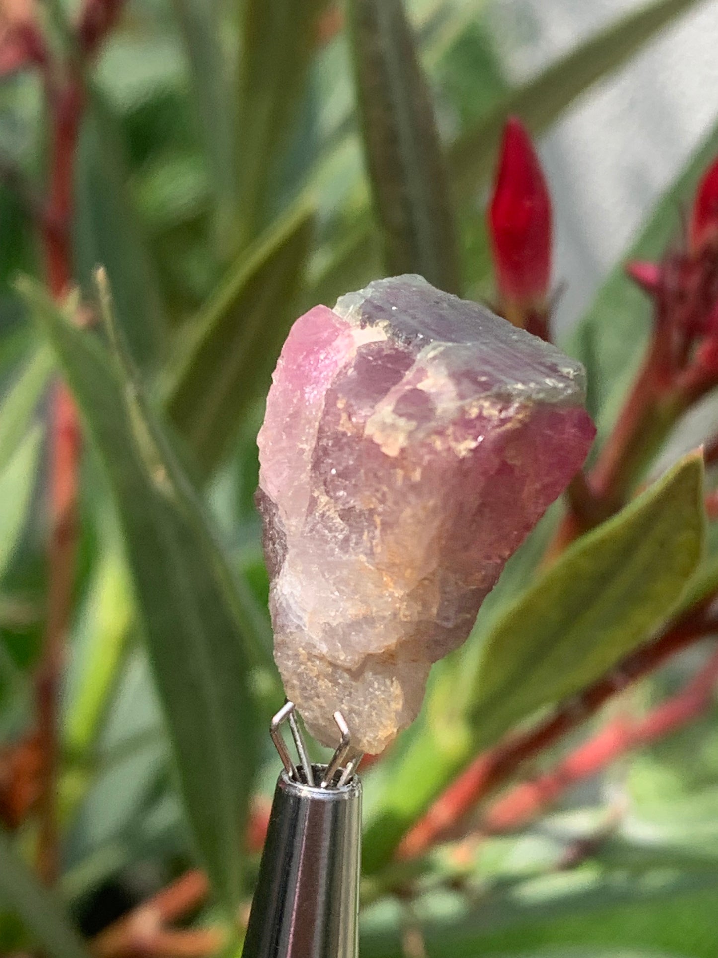 Tourmaline Rubellite, 24 x 20 x 13mm - 7,3 grammes. Une belle pièce naturelle !