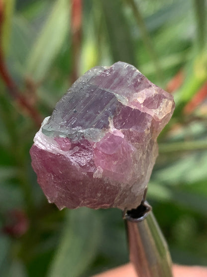 Tourmaline Rubellite, 24 x 20 x 13mm - 7,3 grammes. Une belle pièce naturelle !