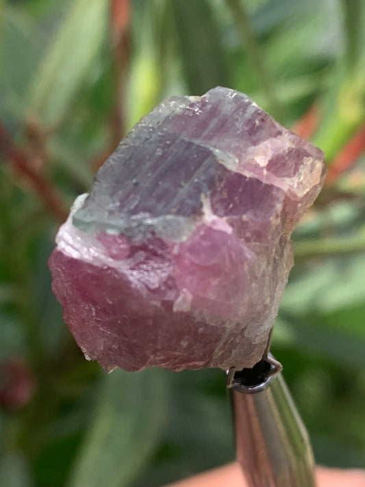Tourmaline Rubellite, 24 x 20 x 13mm - 7,3 grammes. Une belle pièce naturelle !