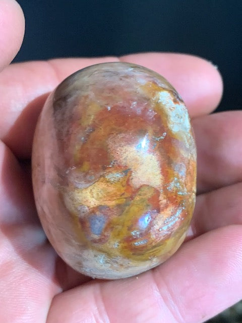 Bois fossilisé/ pétrifié, galet de taille L - 50 x 43 x 37 mm - 111,9 gr.