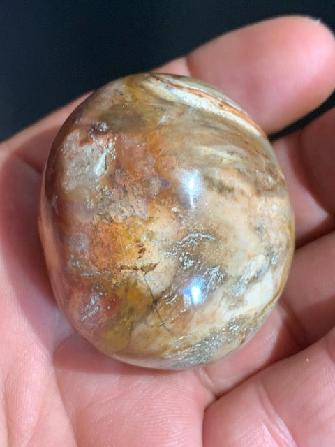 Bois fossilisé/ pétrifié, galet de taille L - 50 x 43 x 37 mm - 111,9 gr.