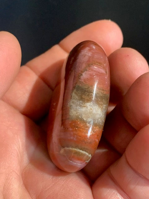 Bois fossilisé/ pétrifié, galet de taille L - 52 x 42 x 19 mm - 68,6 gr.