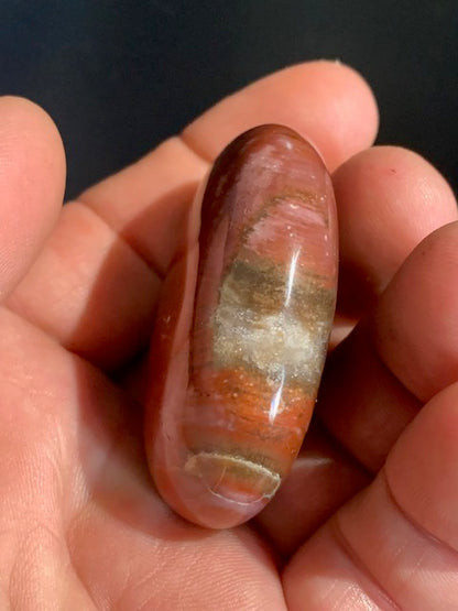 Bois fossilisé/ pétrifié, galet de taille L - 52 x 42 x 19 mm - 68,6 gr.