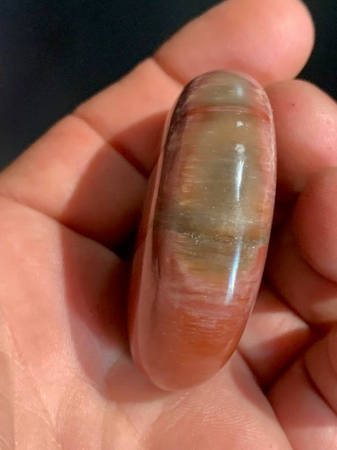 Bois fossilisé/ pétrifié, galet de taille L - 52 x 42 x 19 mm - 68,6 gr.