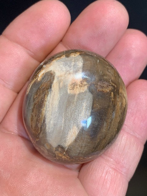 Bois fossilisé/ pétrifié, galet de taille L - 47 x 42 x 24 mm - 63,8 gr.