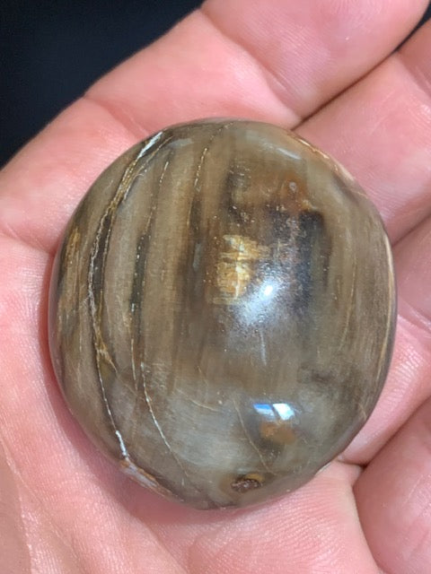 Bois fossilisé/ pétrifié, galet de taille L - 47 x 42 x 24 mm - 63,8 gr.