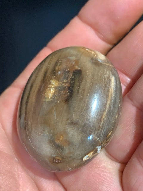 Bois fossilisé/ pétrifié, galet de taille L - 47 x 42 x 24 mm - 63,8 gr.