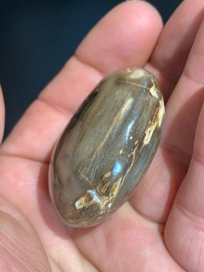 Bois fossilisé/ pétrifié, galet de taille L - 47 x 42 x 24 mm - 63,8 gr.