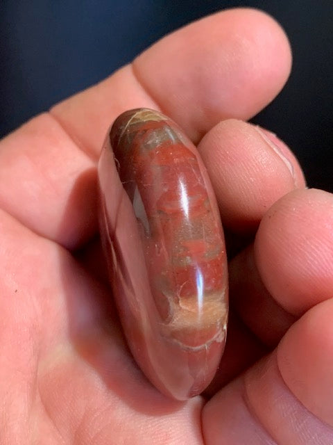 Bois fossilisé/ pétrifié, galet de taille L - 47 x 43 x 16 mm - 49,5 gr.