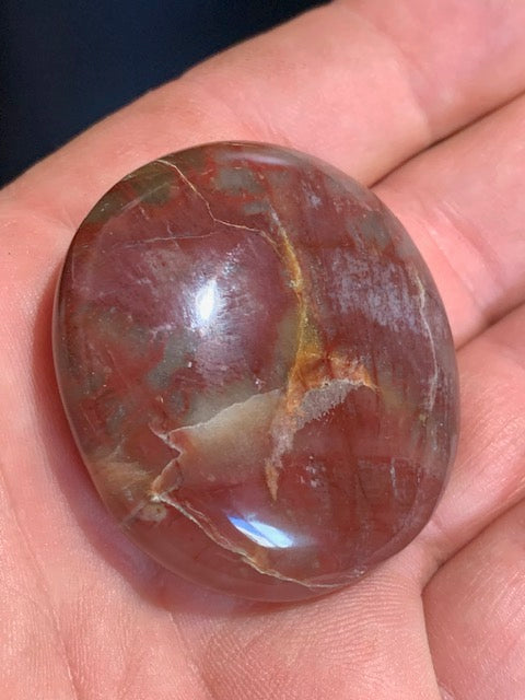 Bois fossilisé/ pétrifié, galet de taille L - 47 x 43 x 16 mm - 49,5 gr.