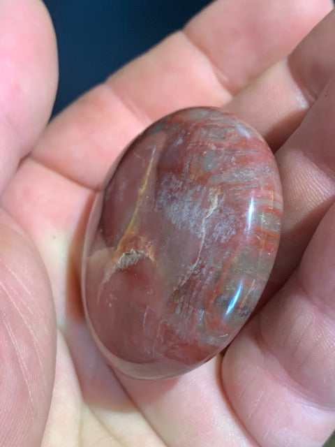 Bois fossilisé/ pétrifié, galet de taille L - 47 x 43 x 16 mm - 49,5 gr.