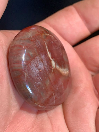 Bois fossilisé/ pétrifié, galet de taille L - 47 x 43 x 16 mm - 49,5 gr.