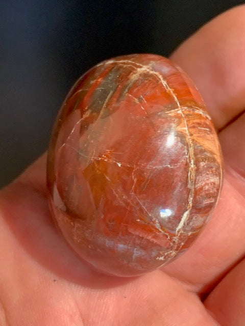 Bois fossilisé/ pétrifié, galet de taille L - 41 x 34 x 30 mm - 58,3 gr.