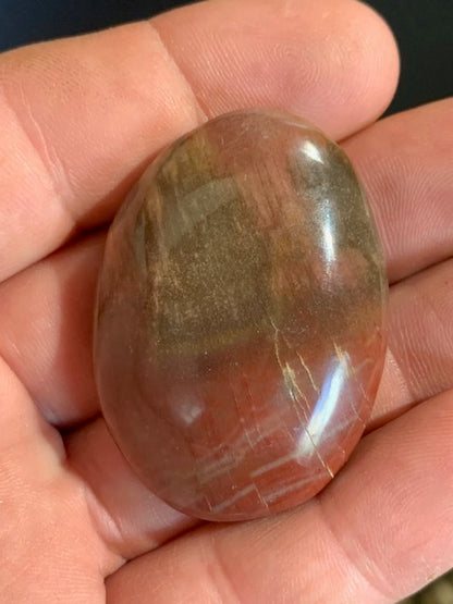 Bois fossilisé/ pétrifié, galet de taille L - 47 x 34 x 15 mm - 32,7 gr.