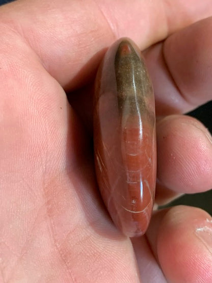 Bois fossilisé/ pétrifié, galet de taille L - 47 x 34 x 15 mm - 32,7 gr.