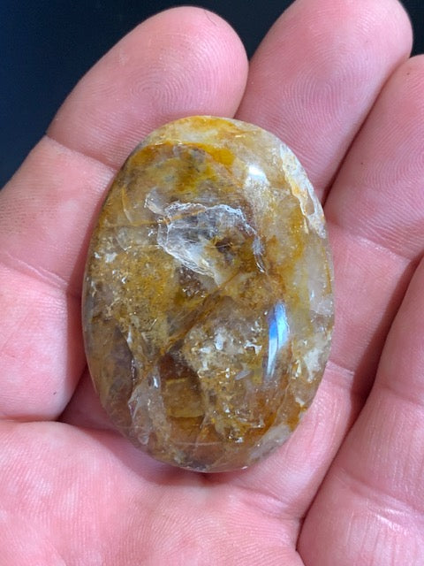 Bois fossilisé/ pétrifié, galet de taille L - 48 x 35 x 16 mm - 33,7 gr.