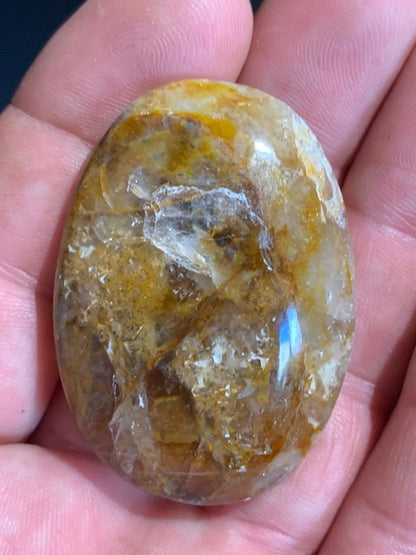 Bois fossilisé/ pétrifié, galet de taille L - 48 x 35 x 16 mm - 33,7 gr.