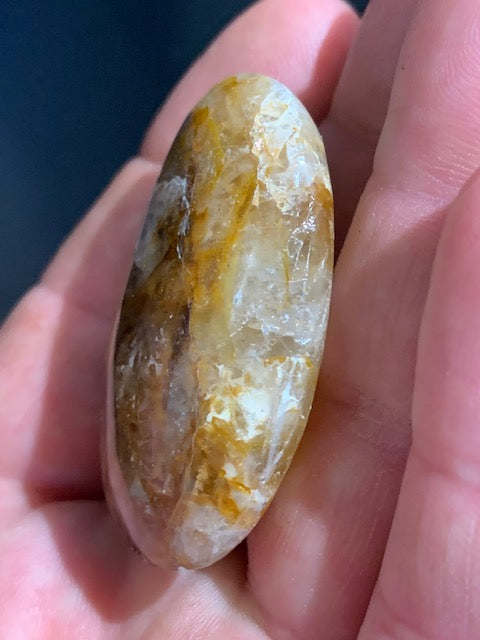 Bois fossilisé/ pétrifié, galet de taille L - 48 x 35 x 16 mm - 33,7 gr.