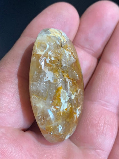 Bois fossilisé/ pétrifié, galet de taille L - 48 x 35 x 16 mm - 33,7 gr.