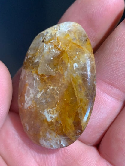 Bois fossilisé/ pétrifié, galet de taille L - 48 x 35 x 16 mm - 33,7 gr.