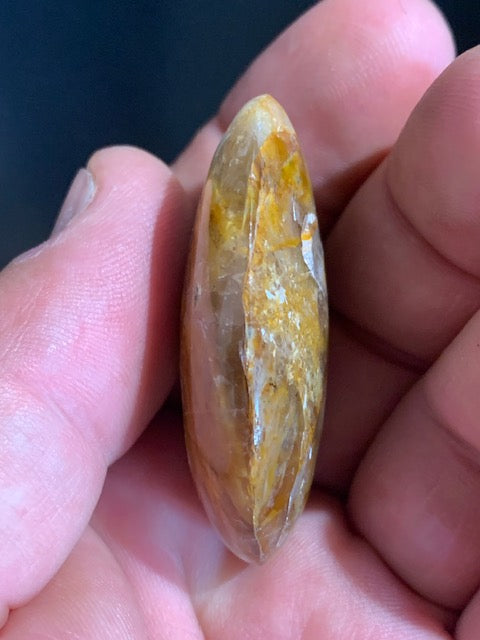 Bois fossilisé/ pétrifié, galet de taille L - 48 x 35 x 16 mm - 33,7 gr.