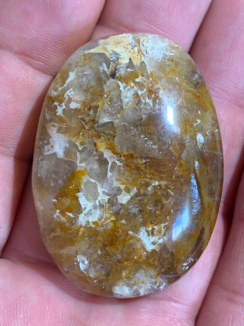 Bois fossilisé/ pétrifié, galet de taille L - 48 x 35 x 16 mm - 33,7 gr.