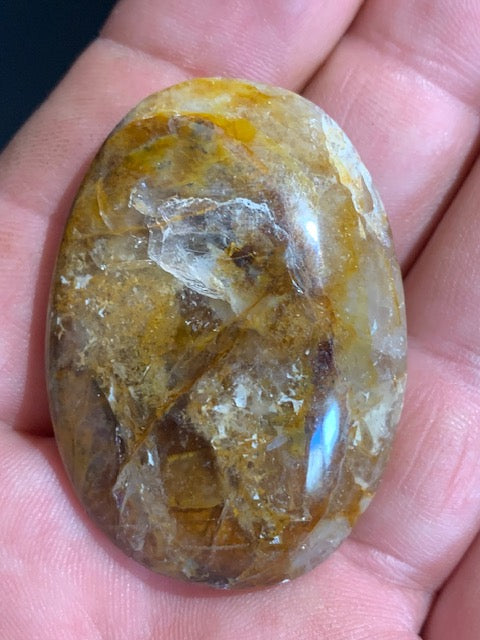 Bois fossilisé/ pétrifié, galet de taille L - 48 x 35 x 16 mm - 33,7 gr.