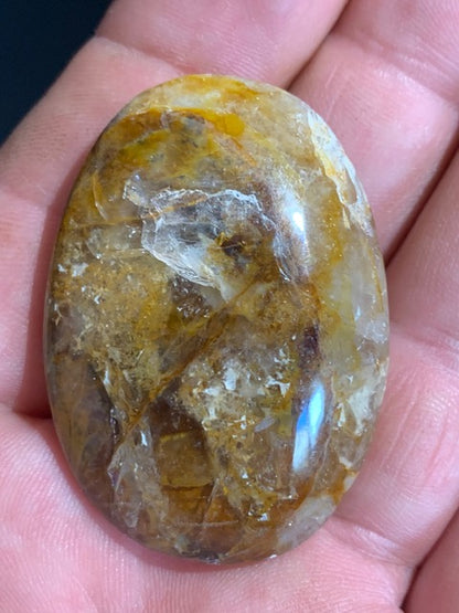 Bois fossilisé/ pétrifié, galet de taille L - 48 x 35 x 16 mm - 33,7 gr.