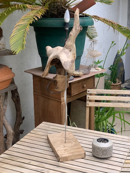 Sculpture en bois flotté de Loire - 65 cm de hauteur × 44 × 17 / ± 1,2 kg - Création Zen Curiosity