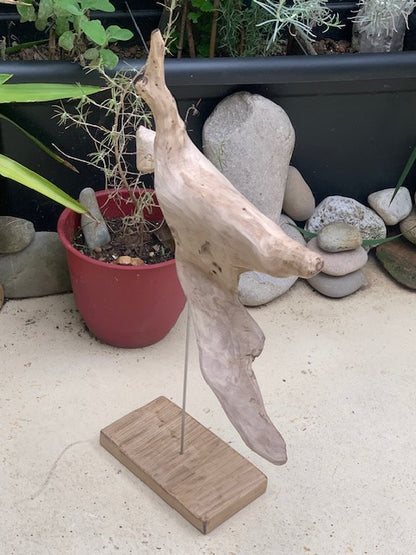 Sculpture en bois flotté de Loire - 65 cm de hauteur × 44 × 17 / ± 1,2 kg - Création Zen Curiosity